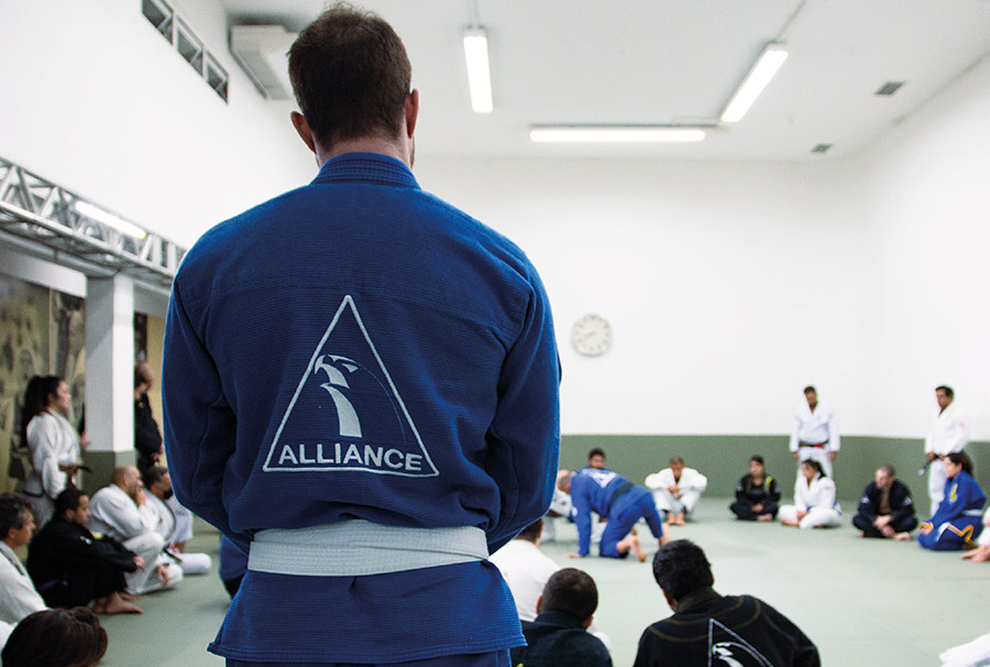 Alliance Seven Fields - Programa para iniciantes