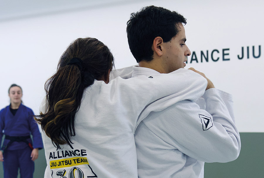 Alliance Seven Fields - Programa para iniciantes